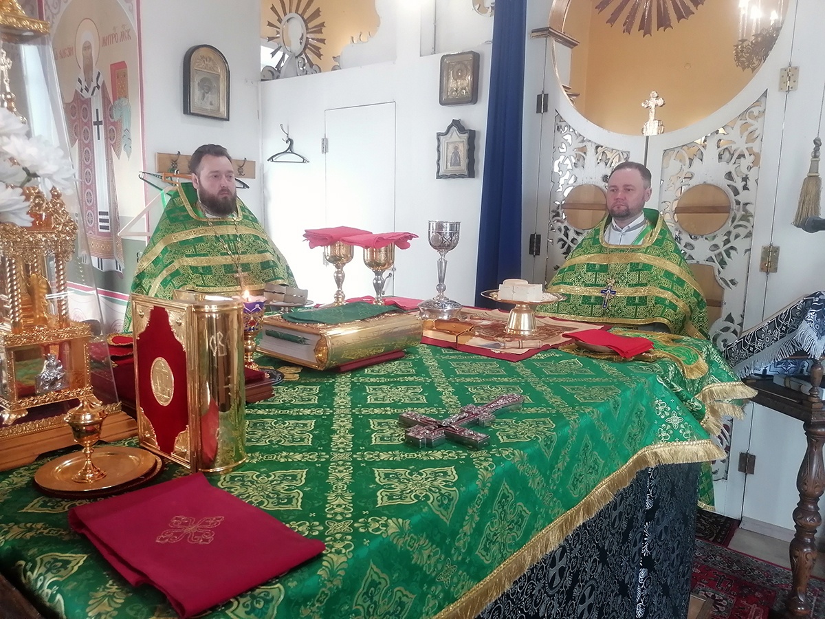 Празднование Входа Господня в Иерусалим