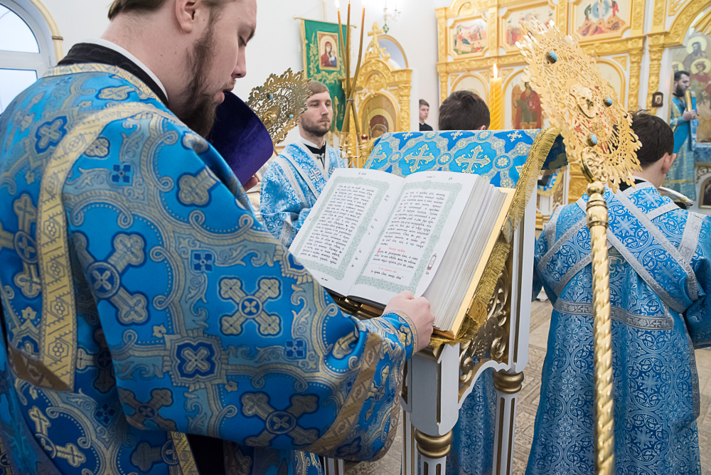 Протоиерей Александр Филиппов сослужил митрополиту Серафиму   за литургией в Троицком храме в деревне Камайке