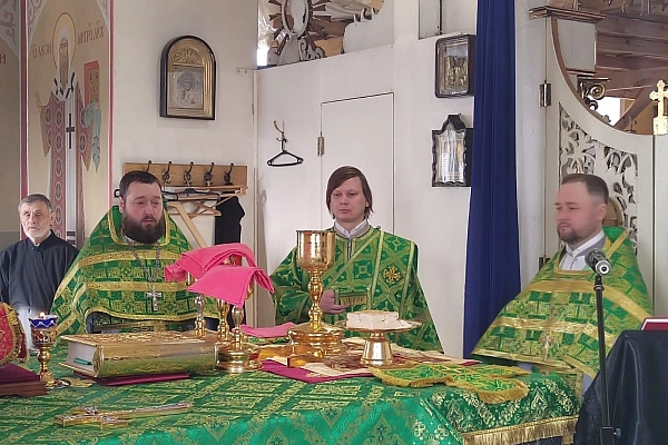 Празднование Входа Господня в Иерусалим